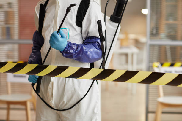 Professional Sewage Cleanup technician working in Koloa, HI